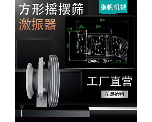 搖擺篩激振器